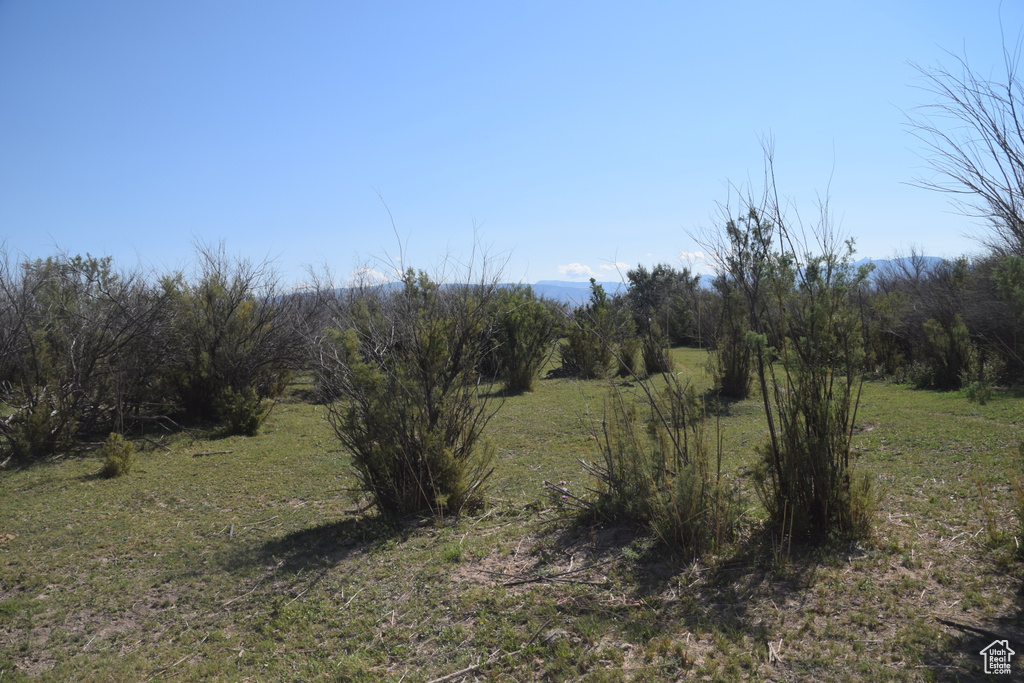 View of landscape