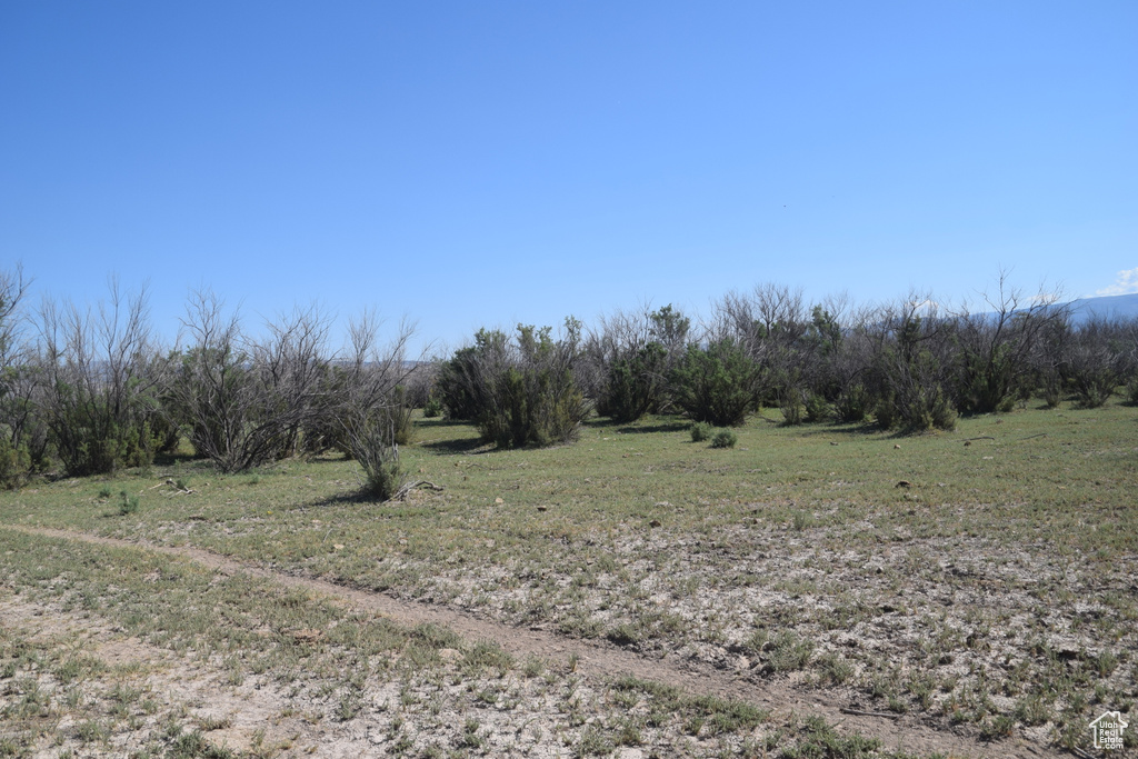 View of local wilderness with a rural view