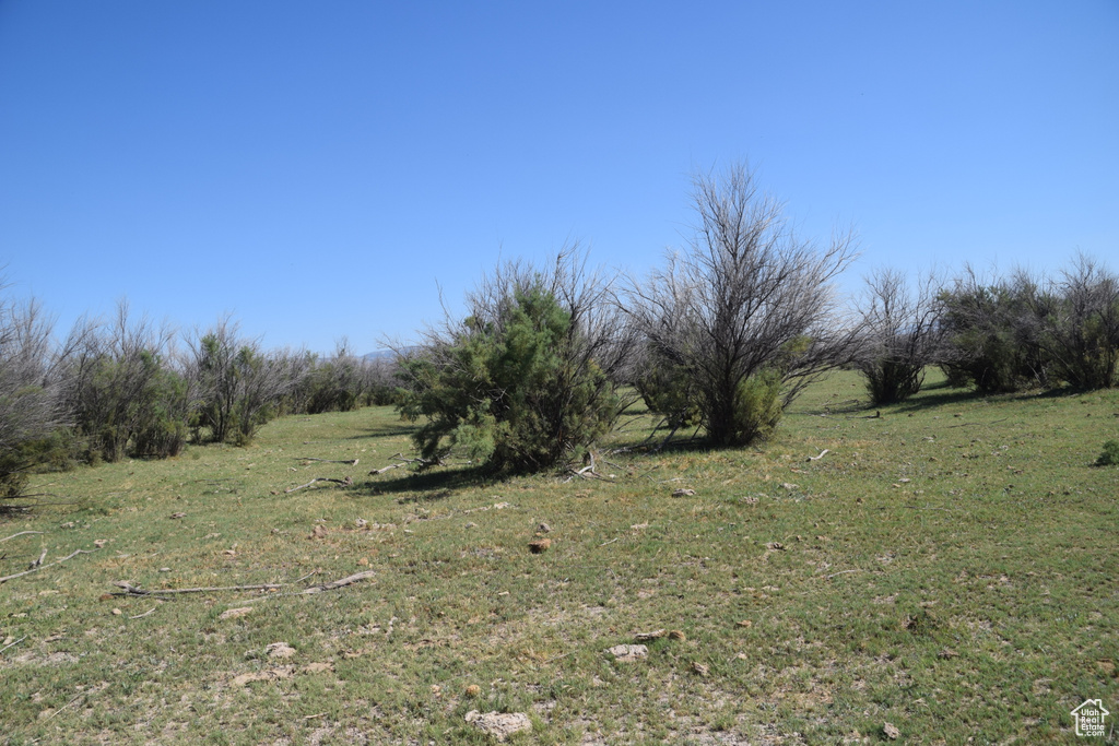 View of landscape