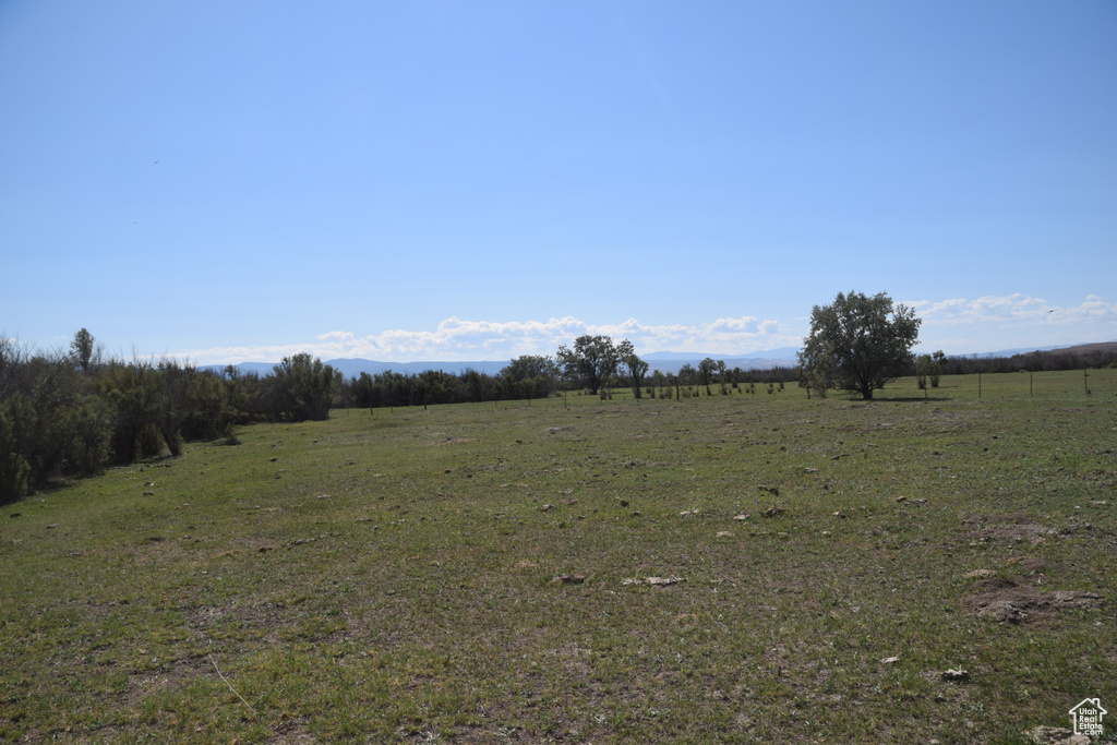 View of local wilderness with a rural view