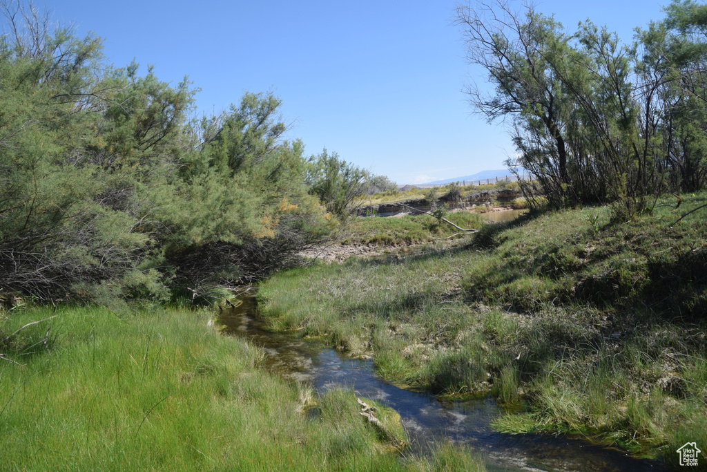 View of local wilderness