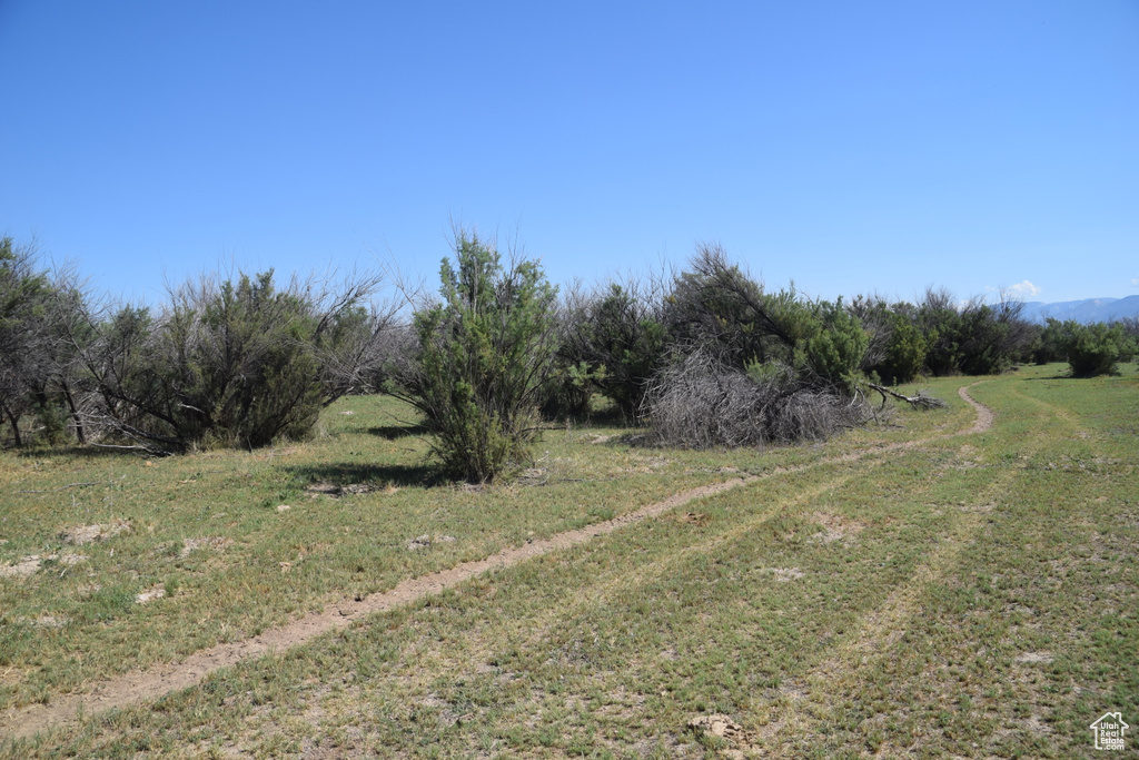 View of road with a rural view