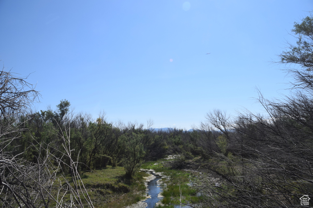 Property view of water with a view of trees
