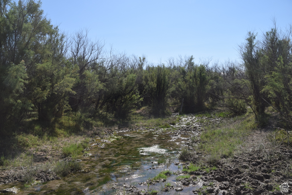 View of local wilderness featuring a wooded view