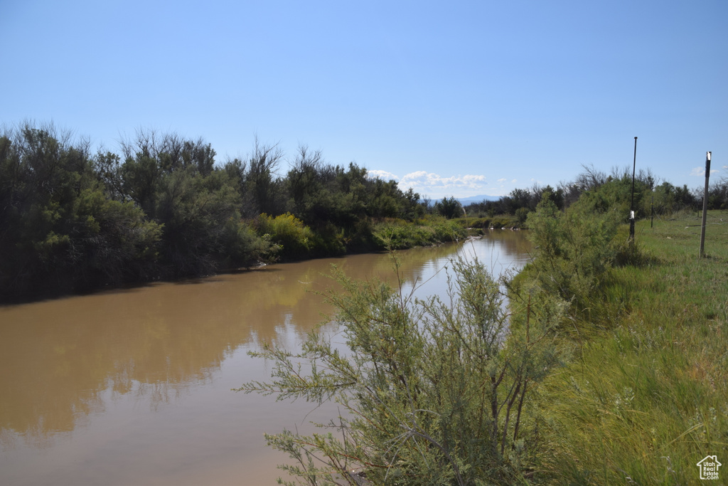 Property view of water featuring a view of trees