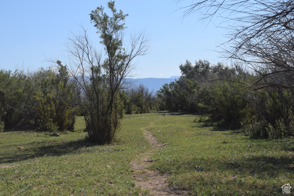 Exterior space with a mountain view and a wooded view