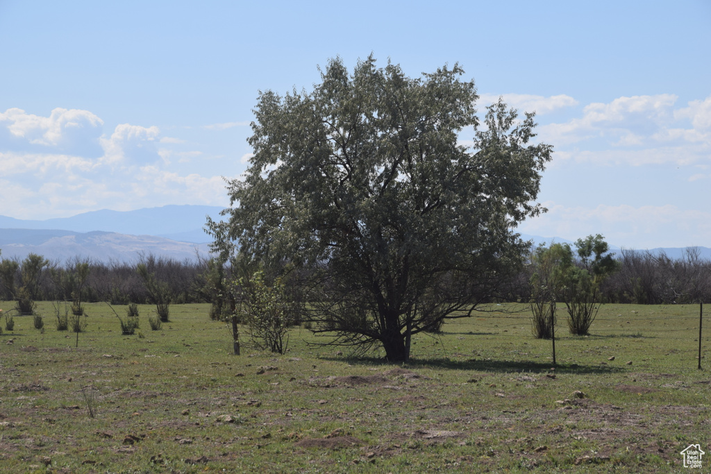 Mountain view featuring a rural view