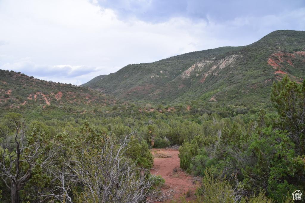 Property view of mountains featuring a view of trees