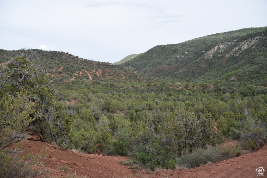 View of mountain feature with a view of trees