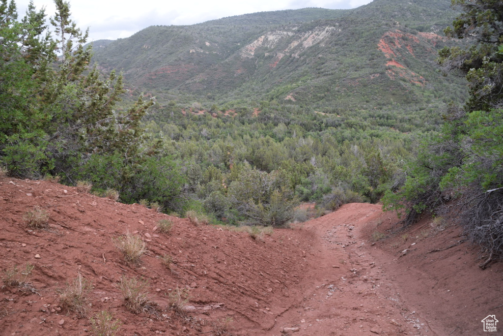 View of mountain feature featuring a view of trees