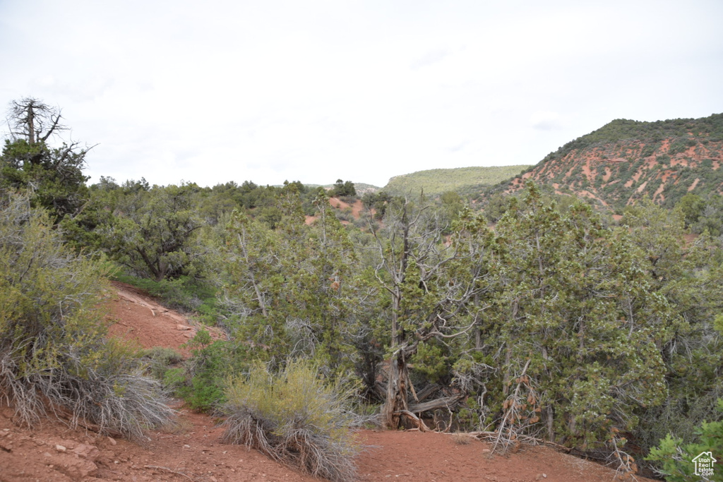 View of mountain feature with a view of trees