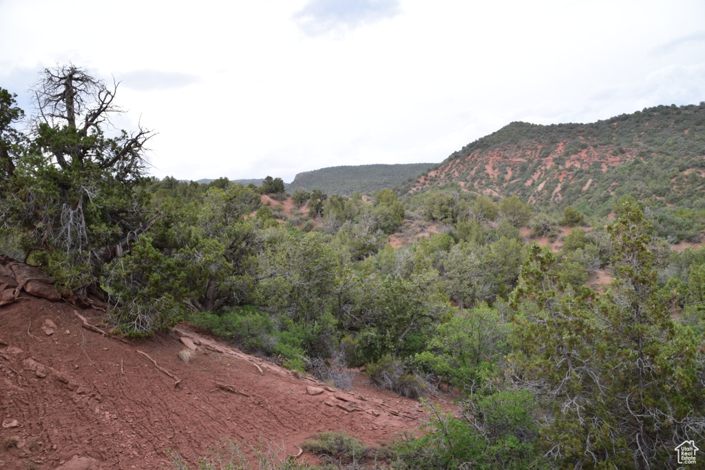 Property view of mountains featuring a forest view