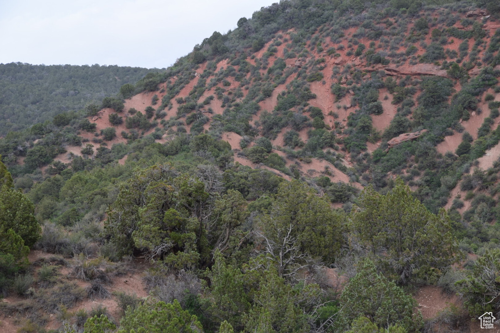 Property view of mountains featuring a view of trees