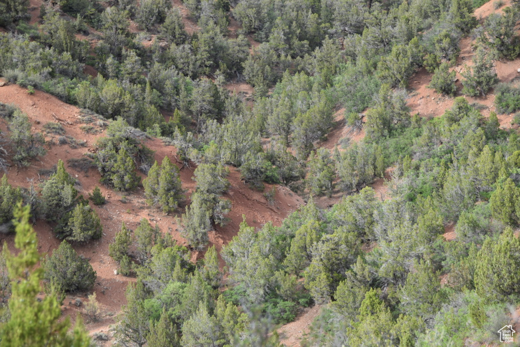 Bird's eye view with a wooded view
