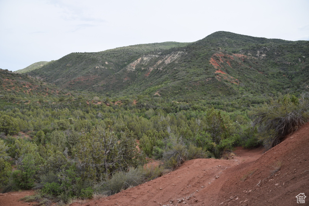 View of mountain feature featuring a view of trees
