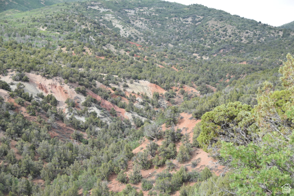 View of mountain feature featuring a forest view