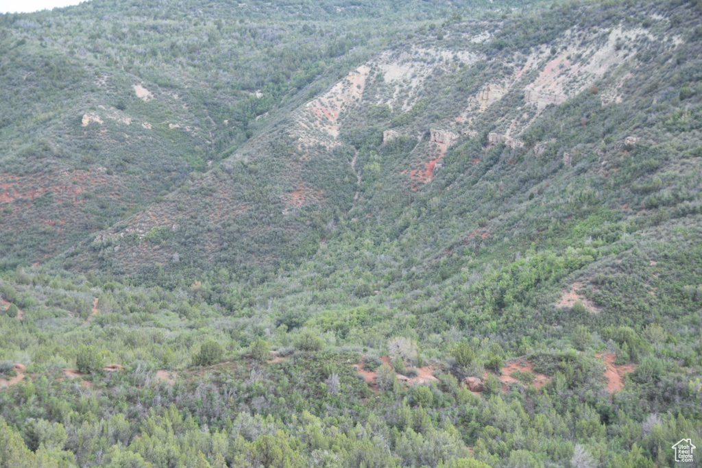 Exterior space with a forest view and a mountain view