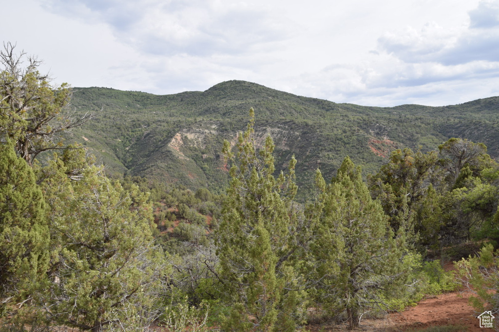 Property view of mountains featuring a forest view