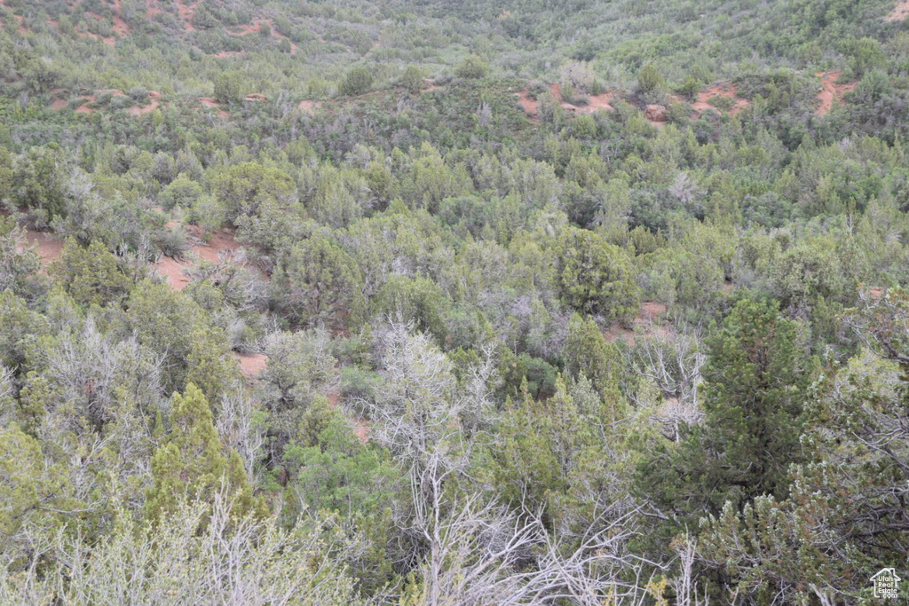 Bird's eye view with a forest view