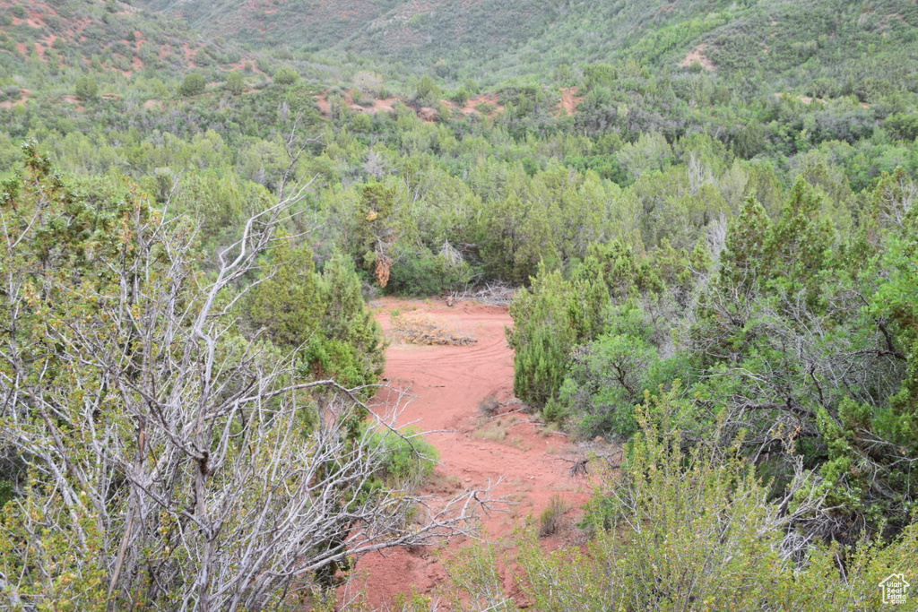 View of local wilderness with a forest view and a mountain view