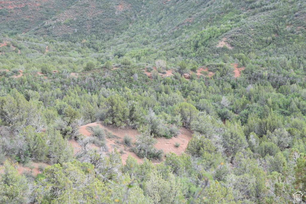 Bird's eye view featuring a view of trees