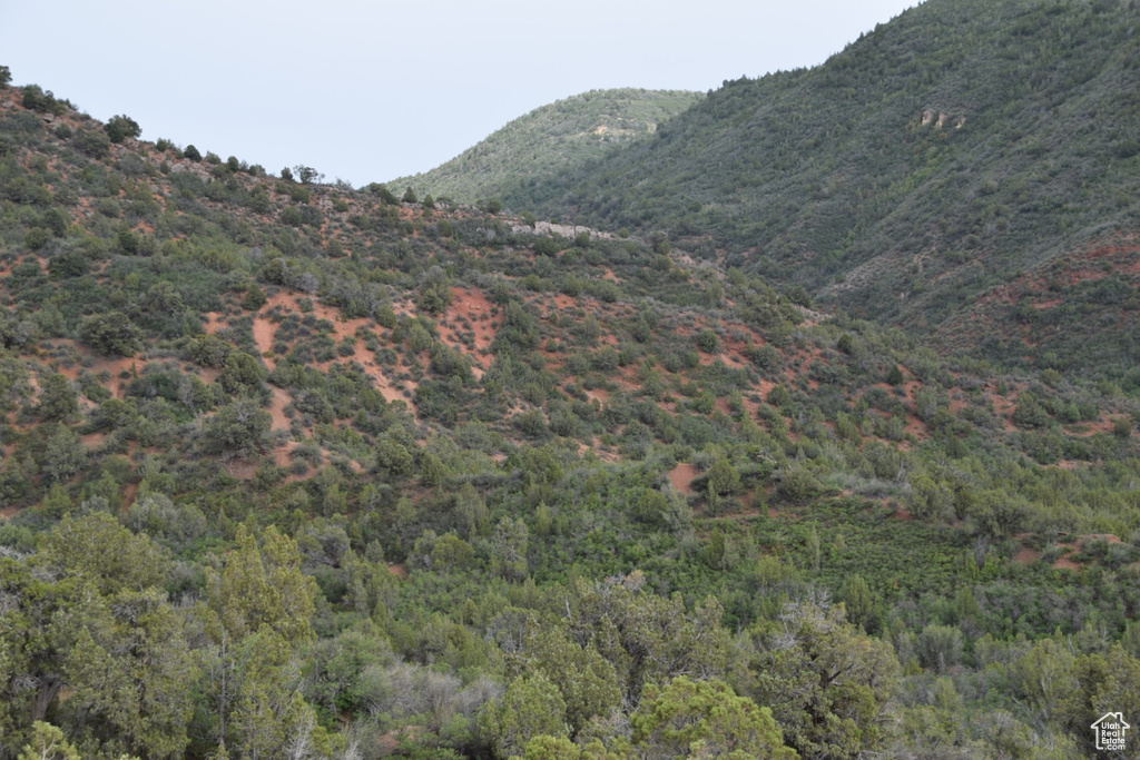 View of mountain feature with a view of trees