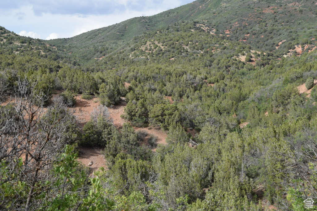 View of mountain feature featuring a view of trees