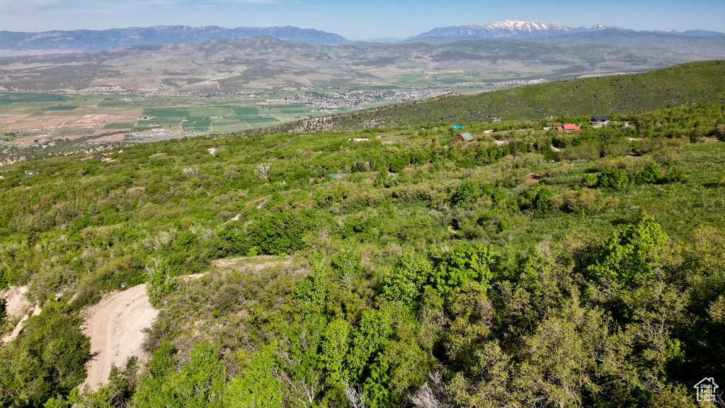 23206 N 14136 E Fairview, UT 84629