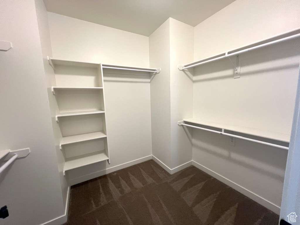 Spacious closet featuring dark carpet