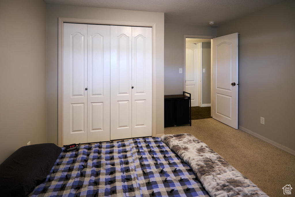 Bedroom with baseboards, a closet, and carpet flooring