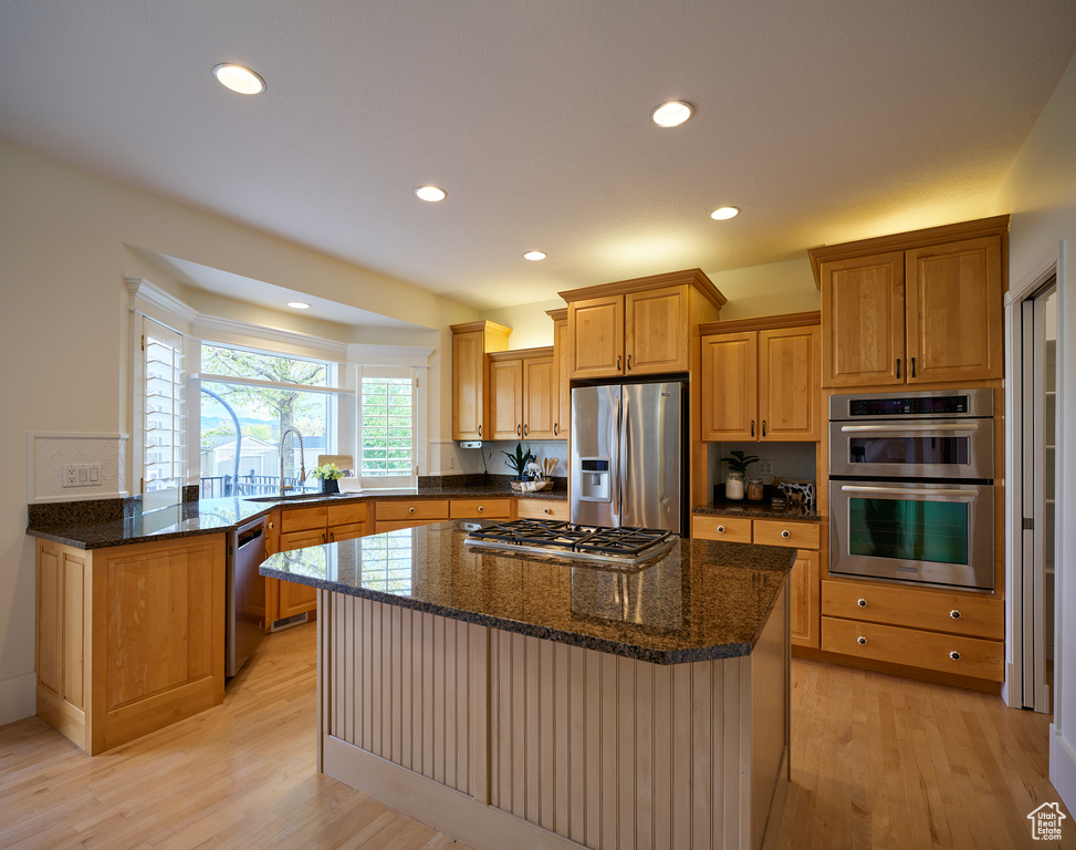 Kitchen featuring stainless steel appliances, recessed lighting, a sink, and light wood-style flooring