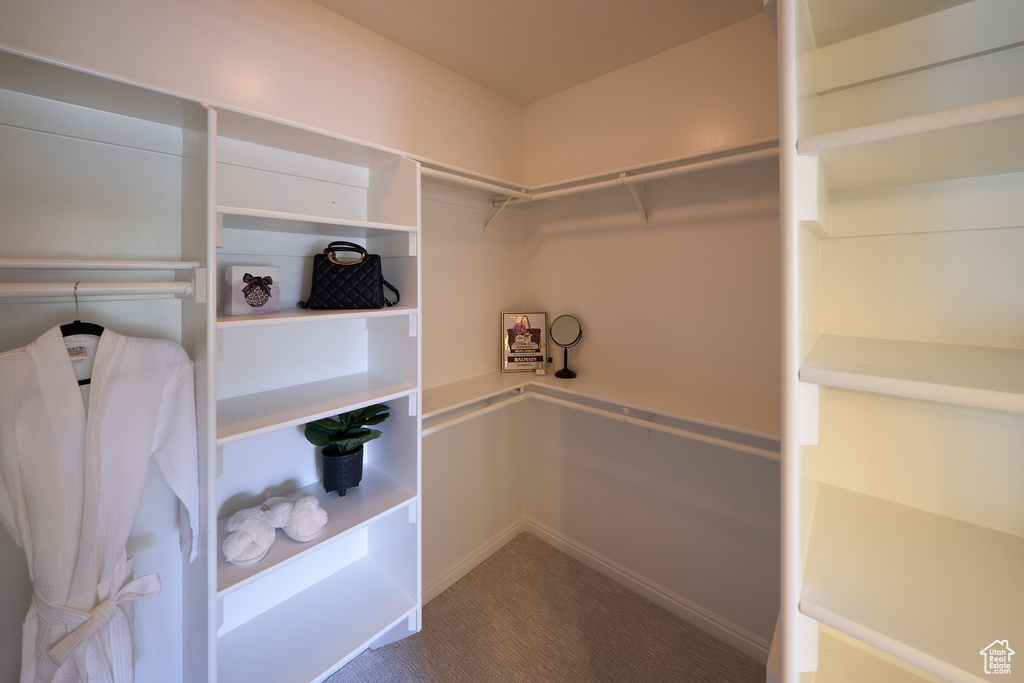 Spacious closet featuring carpet flooring