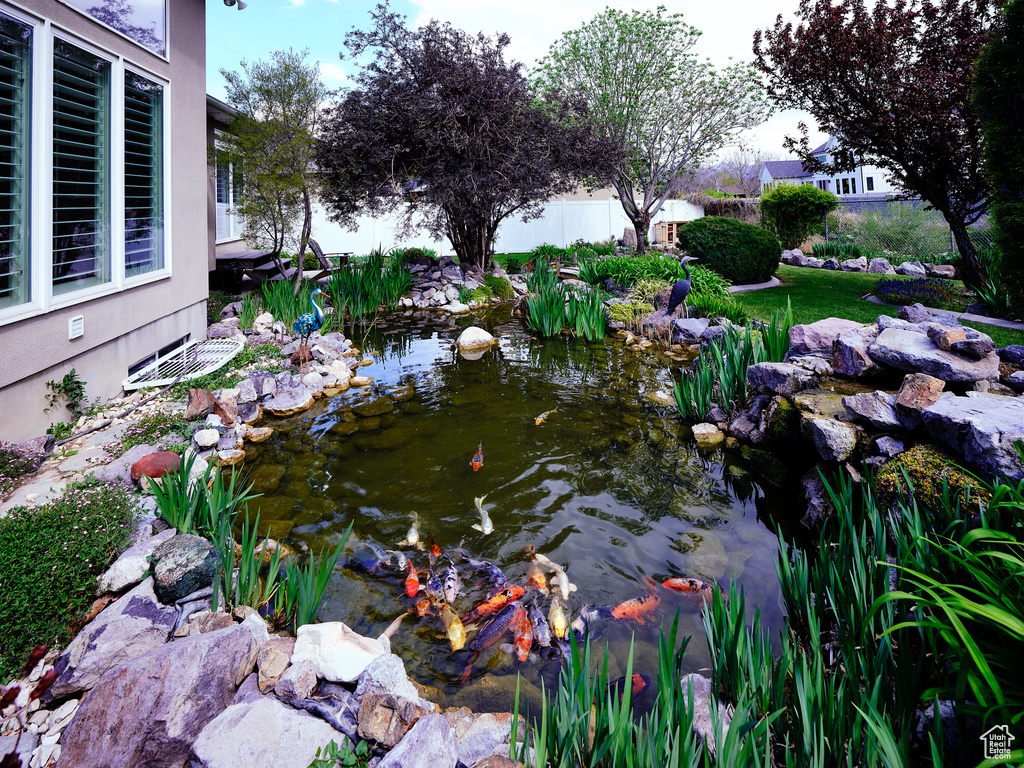 View of yard featuring a small pond