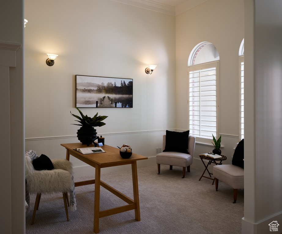 Carpeted office space with ornamental molding
