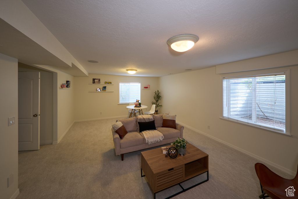 Living room featuring baseboards, carpet flooring, and a textured ceiling