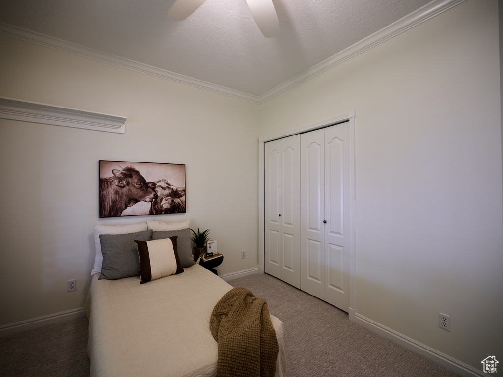 Bedroom featuring ceiling fan, crown molding, baseboards, a closet, and carpet
