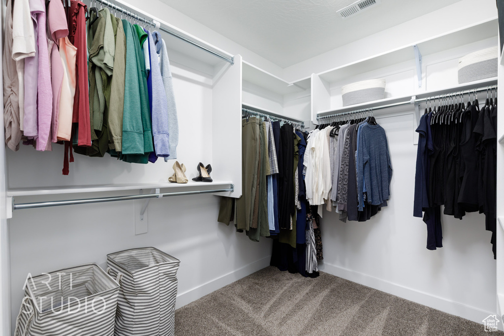 Walk in closet featuring visible vents and carpet floors