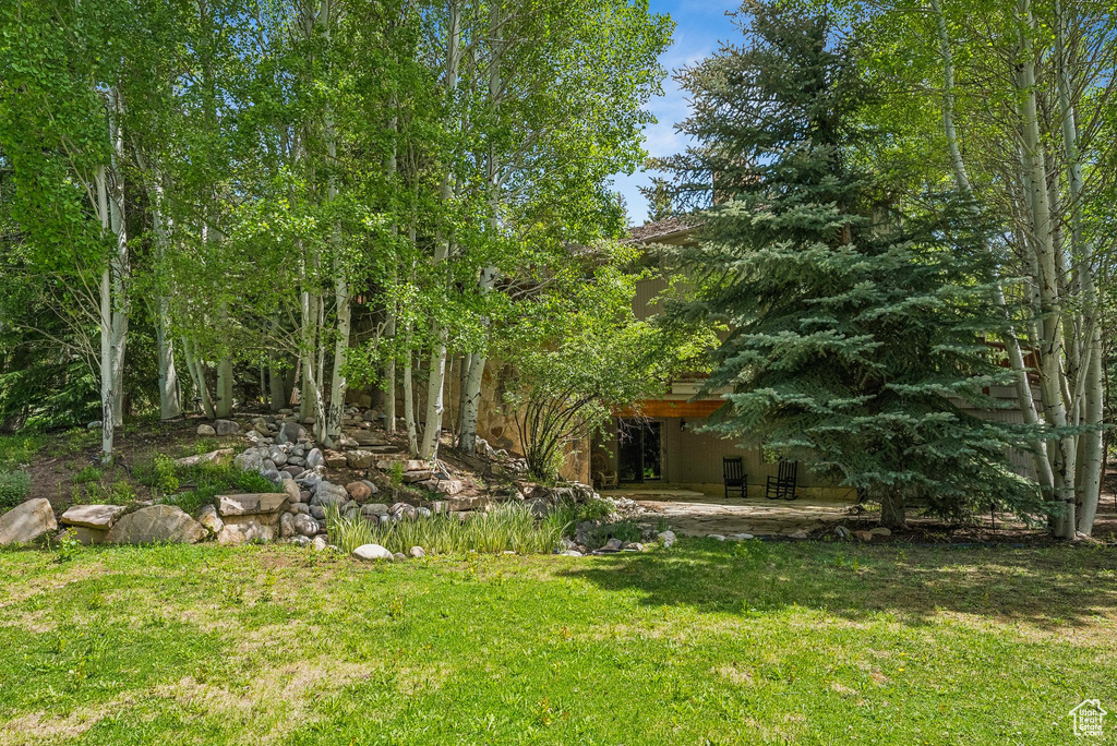 View of grassy yard featuring a patio
