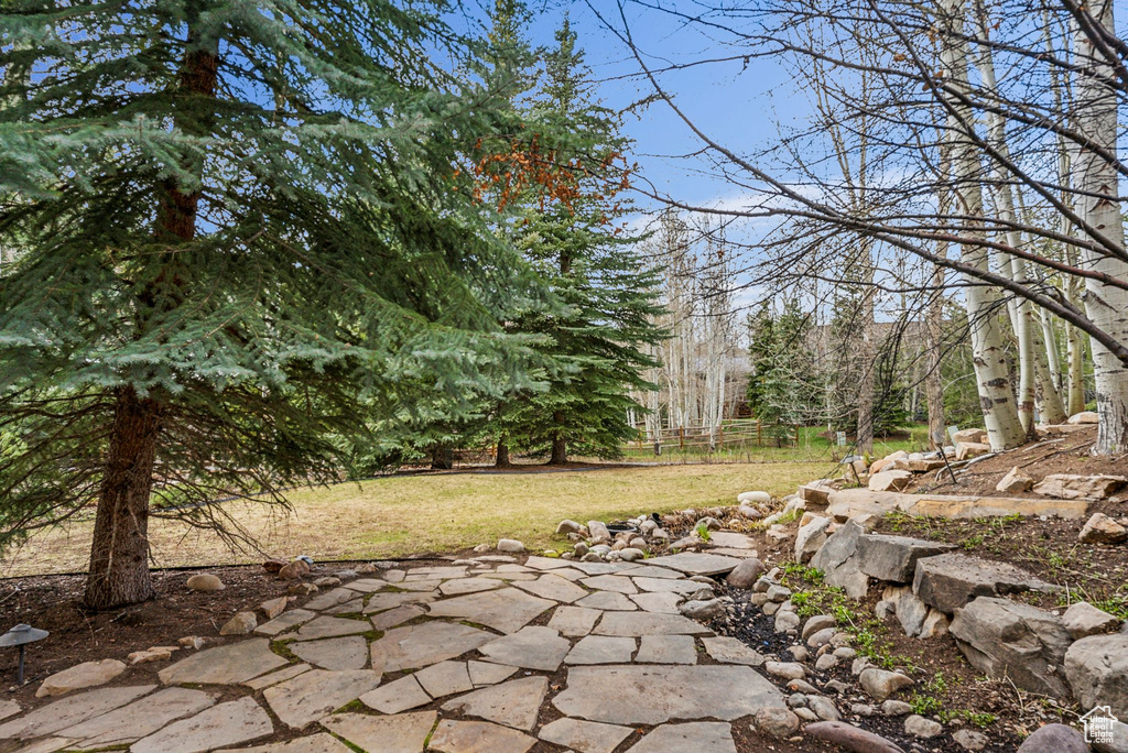 View of yard with fence and a patio area