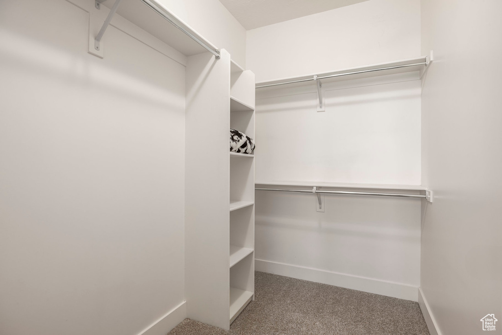 Walk in closet featuring carpet