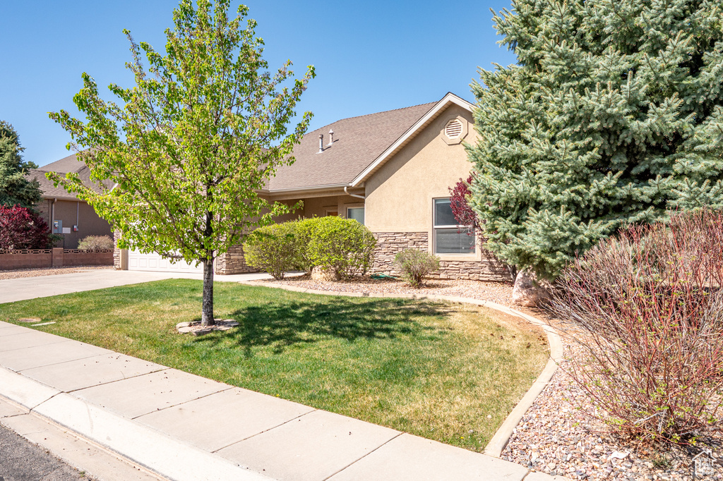 View of property hidden behind natural elements with stone siding, a garage, stucco siding, a front yard, and concrete driveway