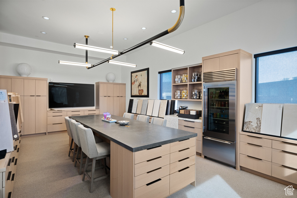 Kitchen with modern cabinets and built in fridge