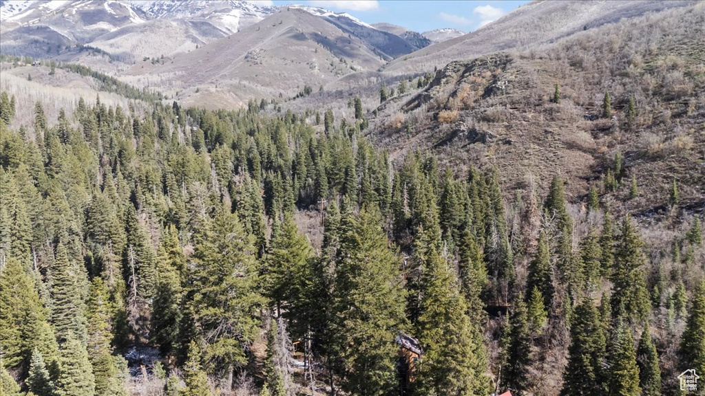 Property view of mountains featuring a forest view