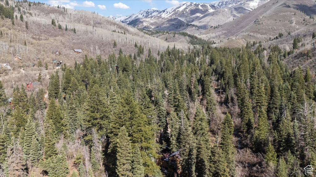 View of mountain feature with a wooded view