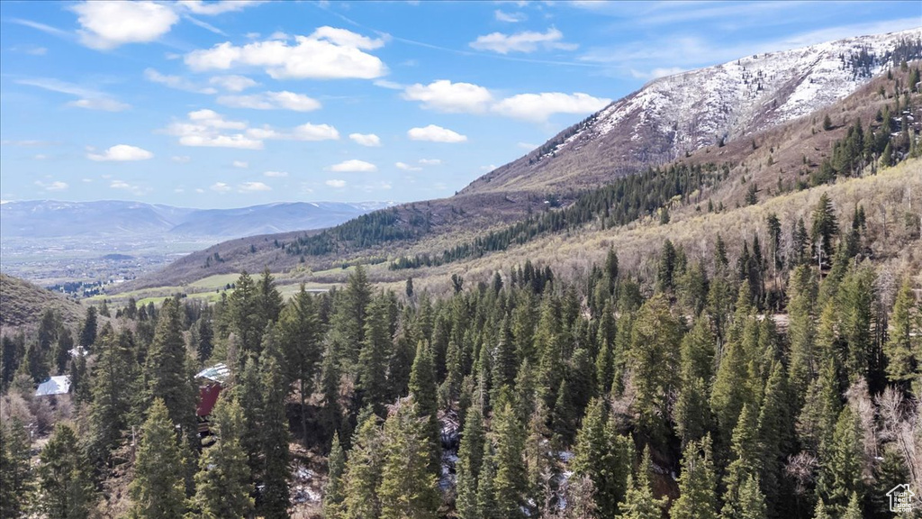 Property view of mountains with a view of trees