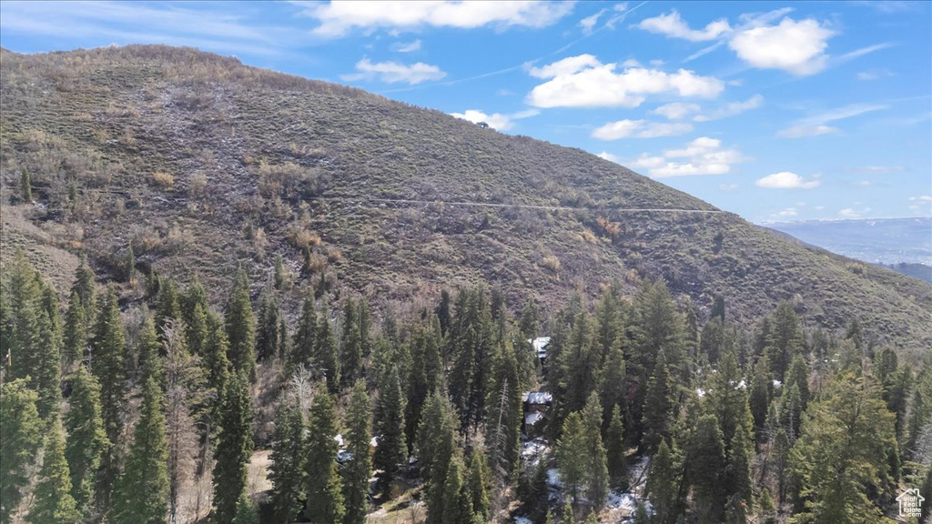 Mountain view featuring a view of trees