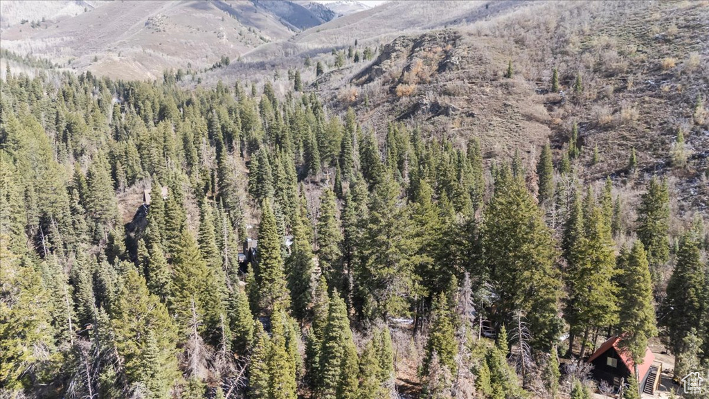 View of mountain feature with a forest view