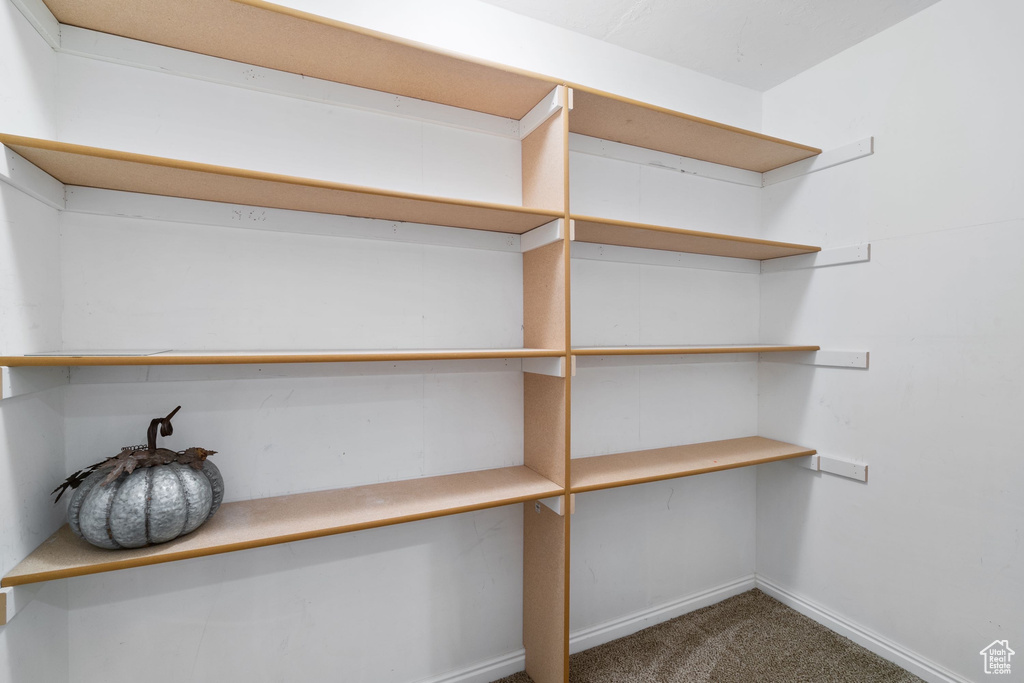 Interior space featuring baseboards and carpet