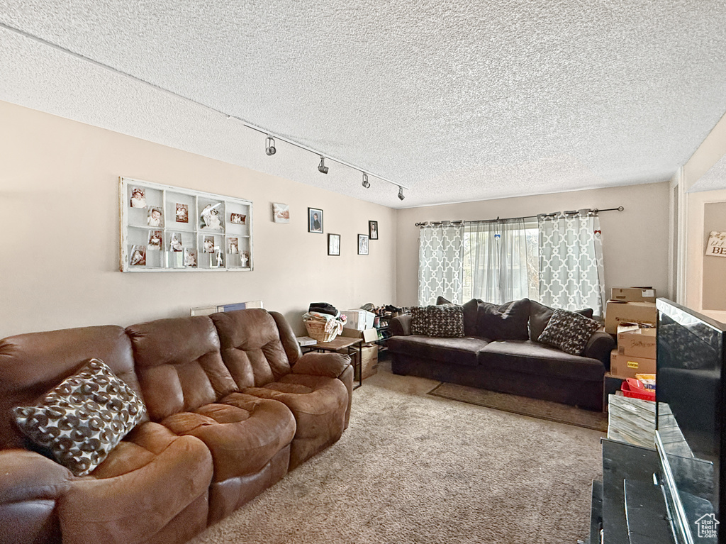 Carpeted living area with rail lighting and a textured ceiling
