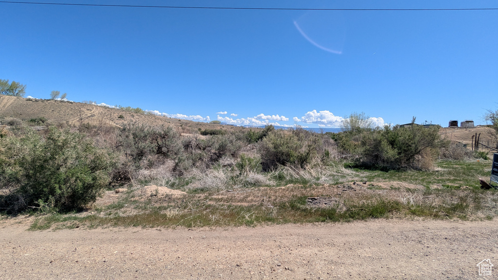 View of local wilderness